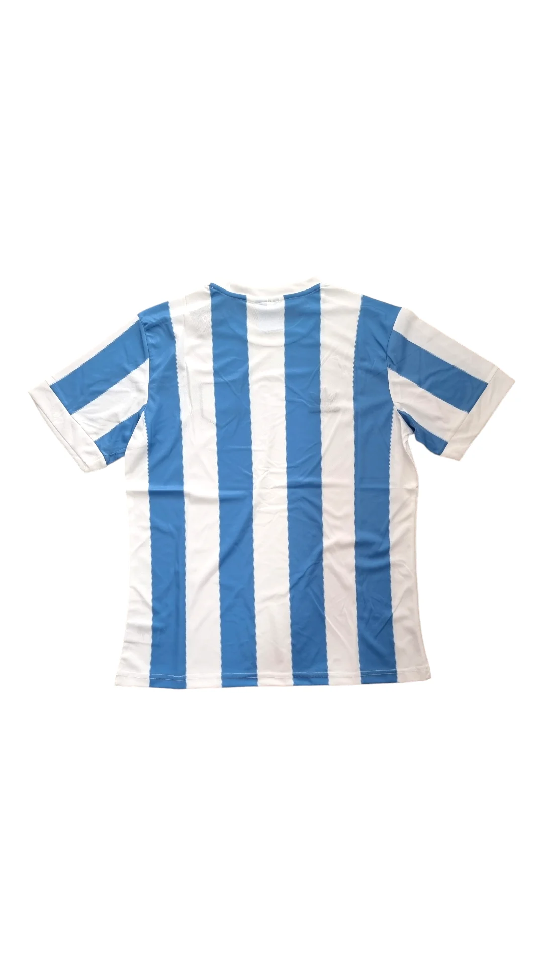 Camiseta Argentina 1978 retro foto 2