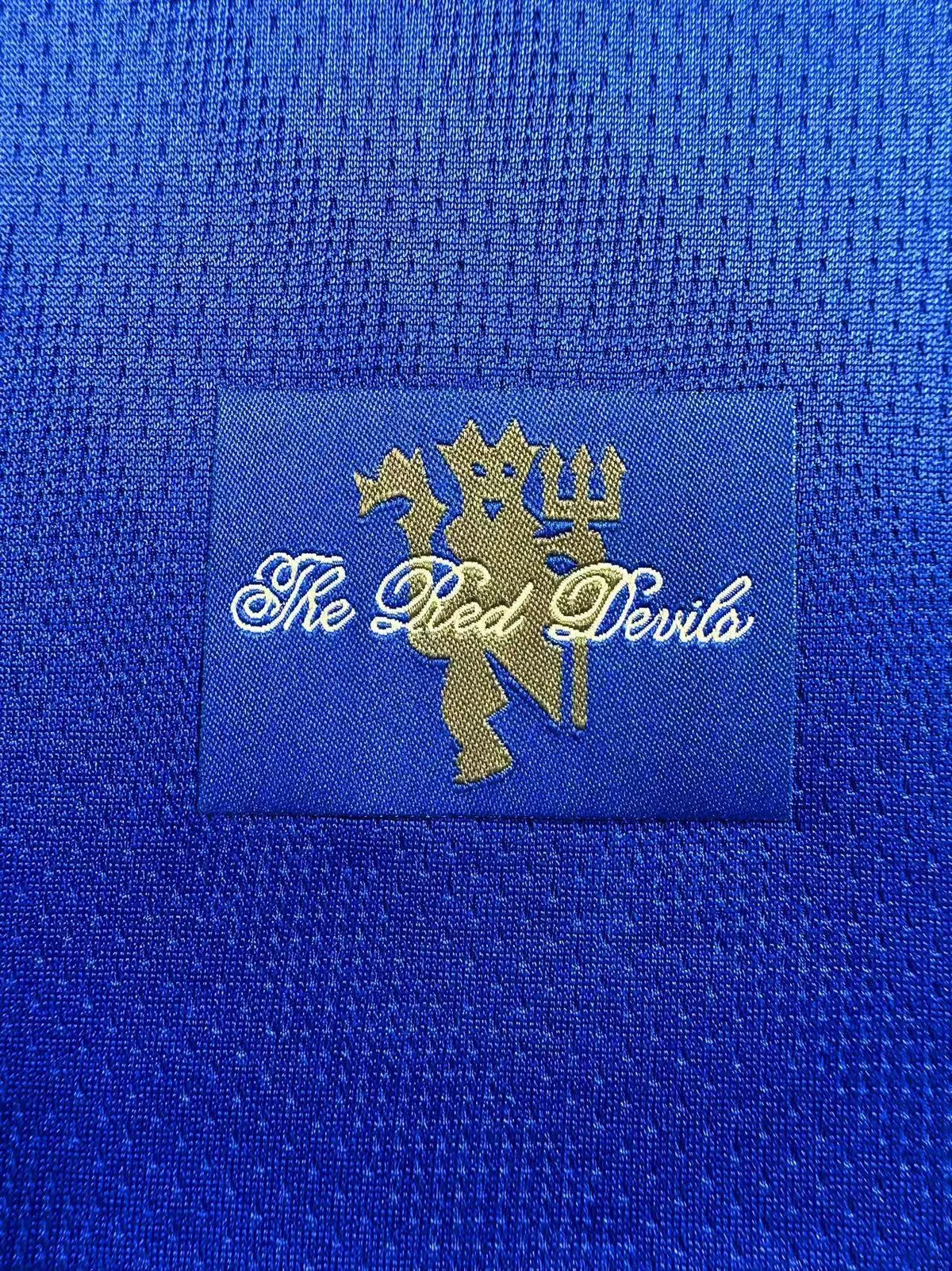 Camiseta Manchester United Portero Azul Manga Larga Manga Larga 2007/2008 retro foto 4