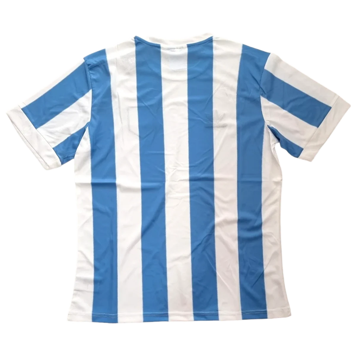 Camiseta Argentina 1978 retro foto 2