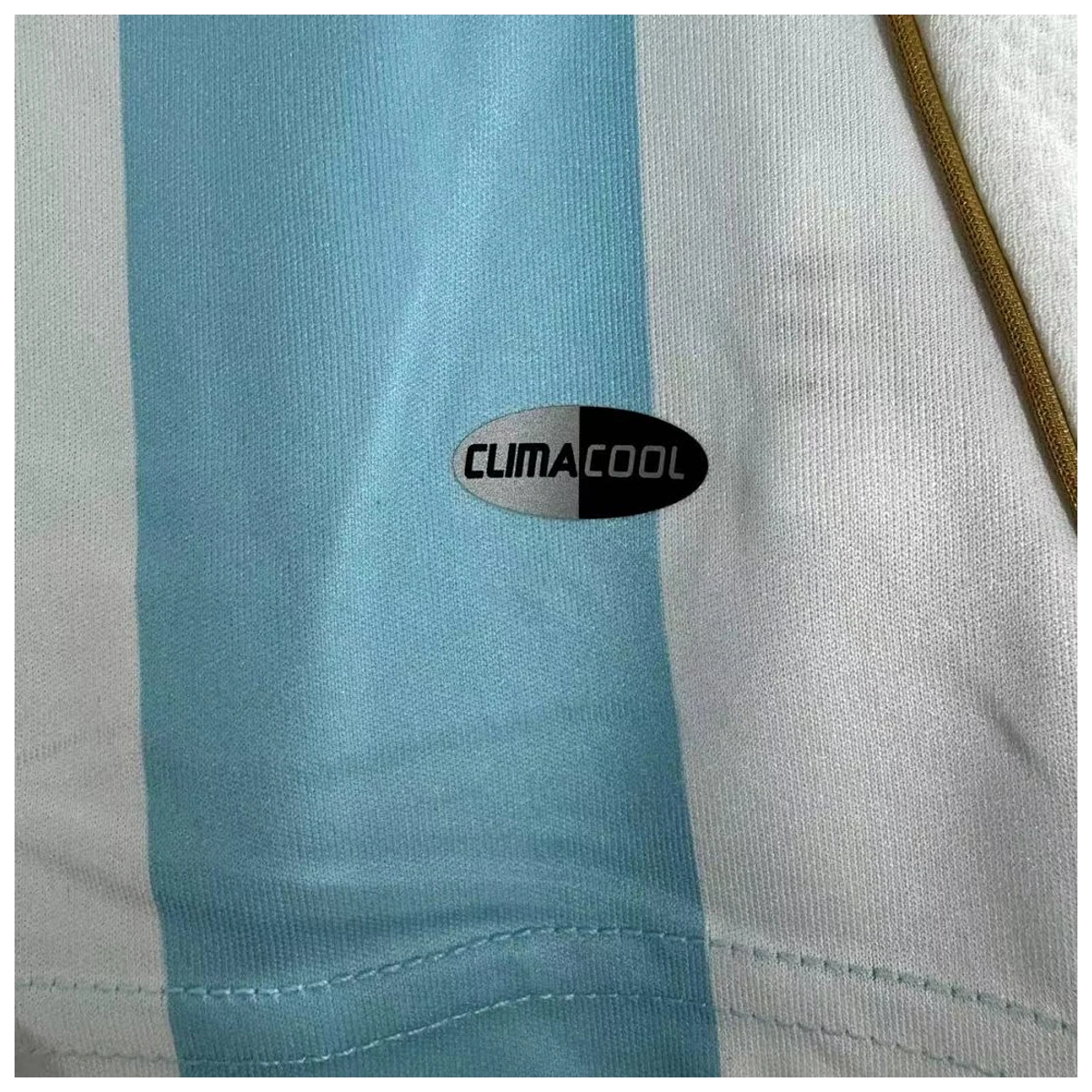 Camiseta Retro Argentina Local 2006 - Retro - Vista 4
